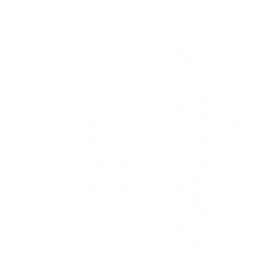 Дитяча футболка Train Hard or Go Home 2
