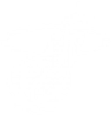 Свитшот унисекс Баскетбольный мяч в кольце 2