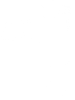 Женская футболка James Hetfield 2
