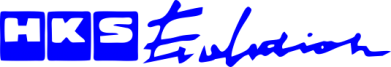 Кружка 320ml HKS logo 2