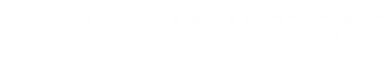 Шапка Kia Motors Logo 2