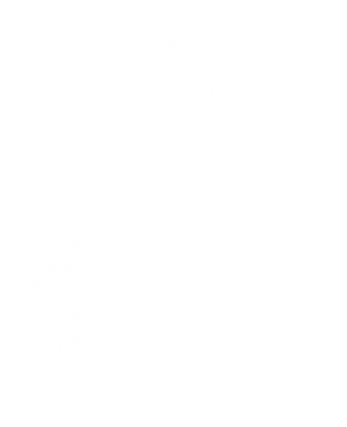 Принт Чехол для Oppo A55 5G Assassin's Creed Misfit, Фото № 2 - FATLINE