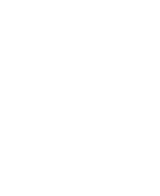 Шопер Jimi Hendrix афтограф 2