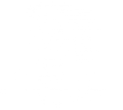 Чохол з розділу Тварини Кінь для Xiaomi Redmi 10X 5G 2