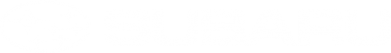 Зажигалка газовая Subaru logo 2