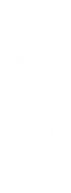 Чохол з розділу Країни Armenia для Xiaomi Redmi Note 9 5G/Redmi Note 9T 2