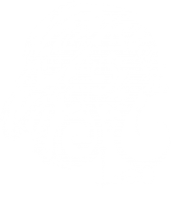 Футболка спортивная унисекс Leo (Лев) 2