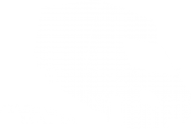 Детская футболка Газель Мафия 2