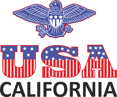 Чоловіча футболка Stedman Eagle USA 2