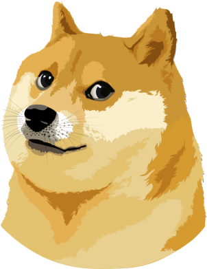 Принт Дитяча футболка Doge, Фото № 2 - FATLINE