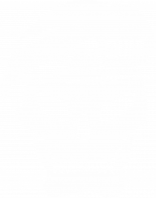 Принт Мужская худи на молнии Skull ДШВ, Фото № 2 - FATLINE