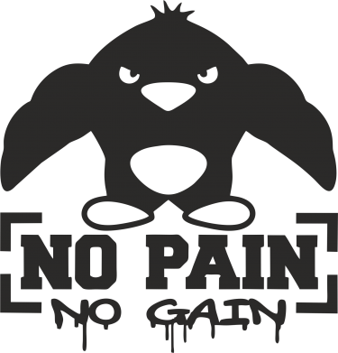 Дитяча футболка No pain no gain пінгвін 2