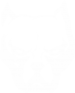 Чохол з розділу Собака Морда пітбуля для Samsung S24 FE 2