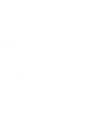 Футболка оверсайз FATLINE Pitbull loco 2