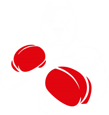 Футболка преміум дитяча FATLINE Pitbull Boxing Logo 2