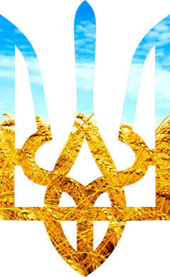 Принт Снепбек Герб на фоні прапора, Фото № 2 - FATLINE