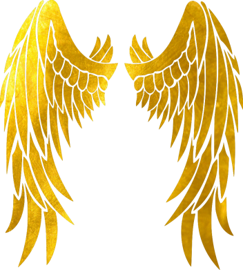 Чоловіча футболка Stedman Wings 2