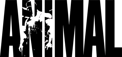 Чоловіча футболка Stedman Animal Powerlifting 2