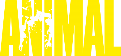 Футболка дитяча оверсайз FATLINE Animal Powerlifting 2