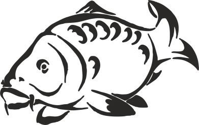 Зеркальный карп