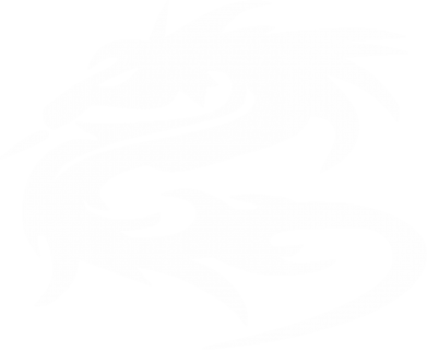 Повербанк 9000 mAh Unic Дракон 2