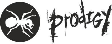 Кружка 320ml The Prodigy Evo 2