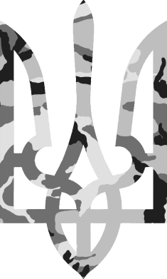 Камуфляжный герб Украины