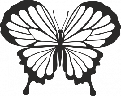 Кружка 320ml Soft butterfly 2