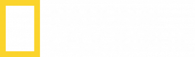 Шапка на флисе National Geographic logo 2