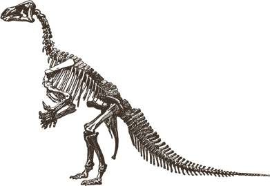 Принт Шапка Tyrannosaur, Фото № 2 - FATLINE