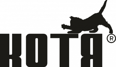 Футболка оверсайз FATLINE Котя лого 2