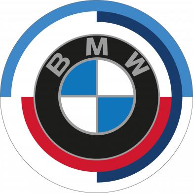 Мужские трусы BMW круг 2