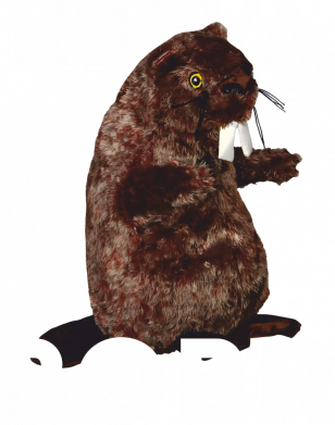 Шапка на флисе bobr kurva 2