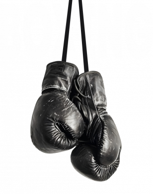 Мужская футболка Stedman Boxing 2