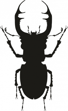 Мужская футболка Stedman Bugs silhouette 2