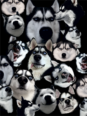 Рушник Husky Emotions 2