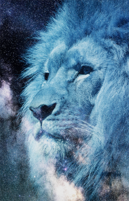 Чехол из раздела Авторские принты Face of a lion on the background of space для Samsung A51 2