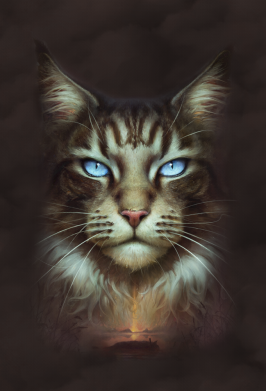 Чехол из раздела Кот Cat face art для Samsung S10 2