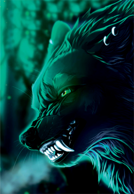 Чехол из раздела Волк Magic Wolf для Xiaomi Redmi 10 2