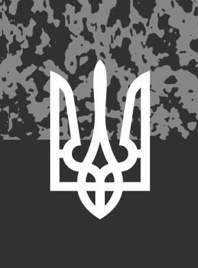 Чехол из раздела Авторские принты Серый камуфляж с гербом Украины для Xiaomi Redmi Note 9 4G 2