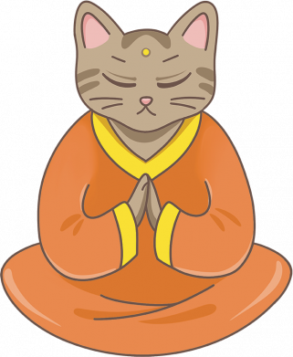 Женская футболка Дзен кот 2