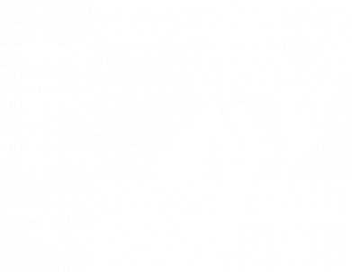 Принт Чоловіча футболка Stedman Cat polygon, Фото № 2 - FATLINE