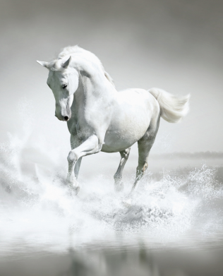 Стикер Gray horse 2