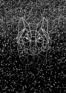 Чехол из раздела Волк Wolf для Xiaomi Redmi 10 2