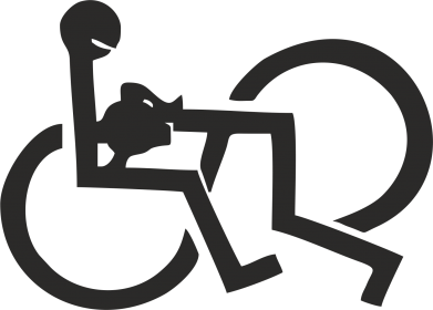 Жіноча футболка задоволення 2