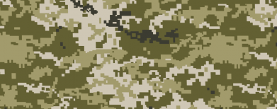 3D пенал Камуфляж ЗСУ 2