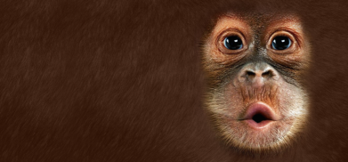 Кружка двоколірна з повною запечаткою Cute monkey face 2