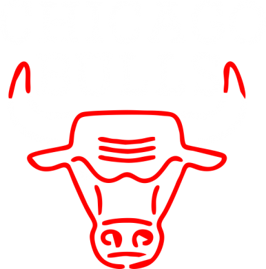 Chicago Bulls Logo