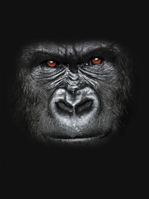 Чохол з розділу Горила Горила для Xiaomi Redmi Note 9 5G/Redmi Note 9T 2