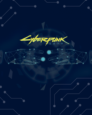 Прапор Nickname Cyberpunk 2